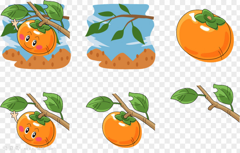 Happy Persimmon Cartoon Illustration PNG