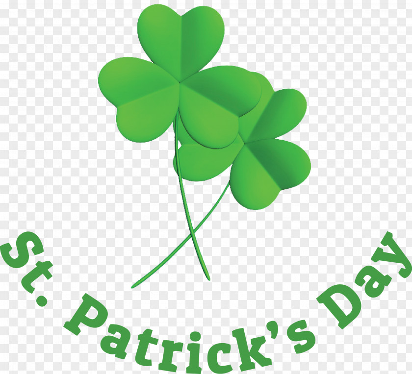 Shamrock PNG