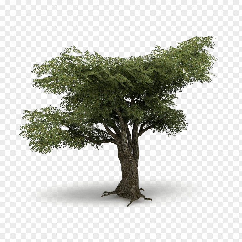 Trees In The Game PNG in the game clipart PNG