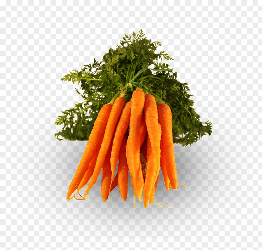 Vegetable Baby Carrot Vegetarian Cuisine Onion Food PNG