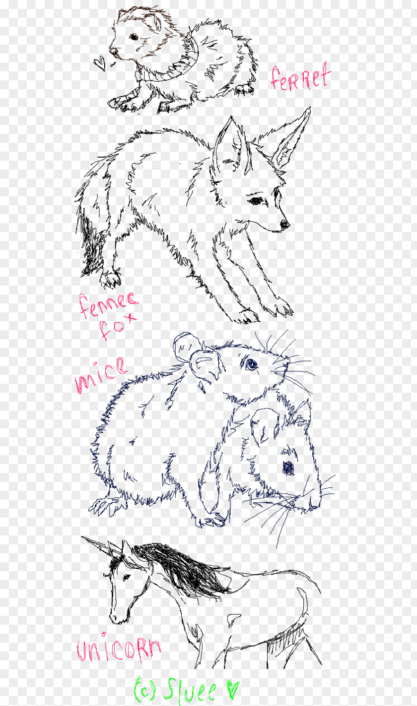 Animal Anatomy Sketches Line Art Carnivora Cartoon Sketch PNG