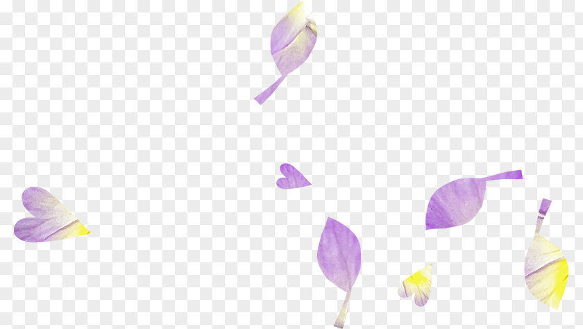 Design Flowering Plant PNG