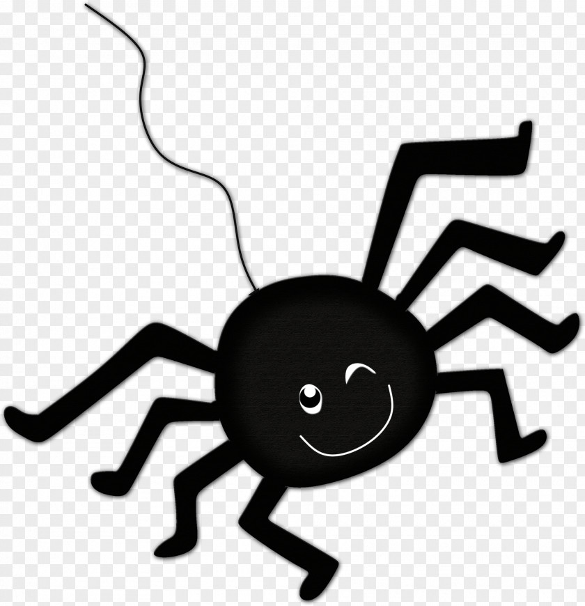 Insect Pest Spider Clip Art Arachnid Tarantula Widow PNG