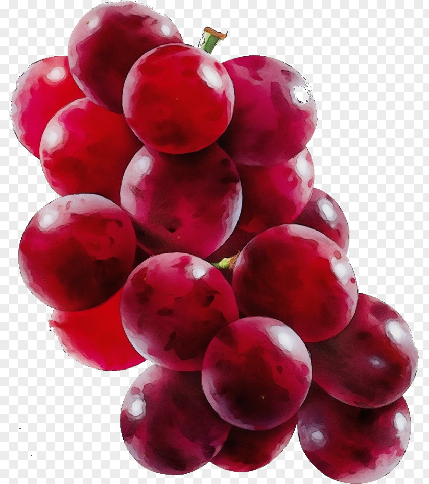 Lingonberry Vitis Grape Natural Foods Fruit Seedless Grapevine Family PNG