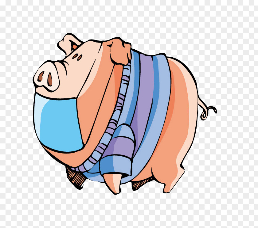 Pig Cartoon Illustration PNG