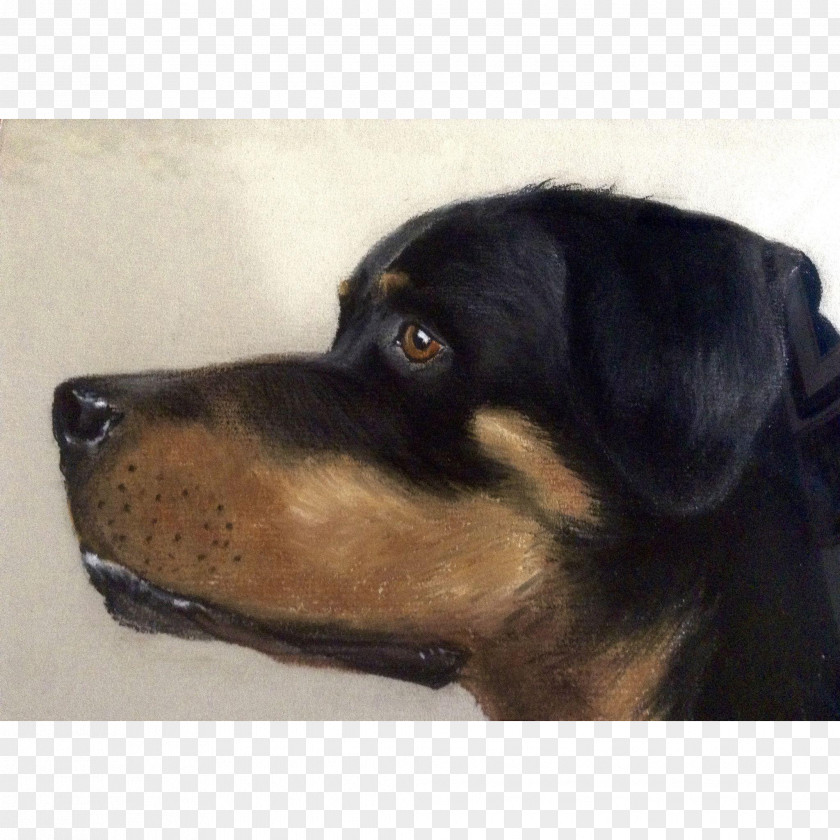 Puppy Rottweiler Austrian Black And Tan Hound Huntaway Dog Breed PNG