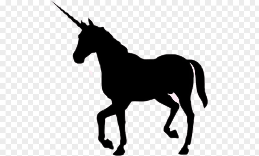 Unicorn Drawing Cartoon PNG