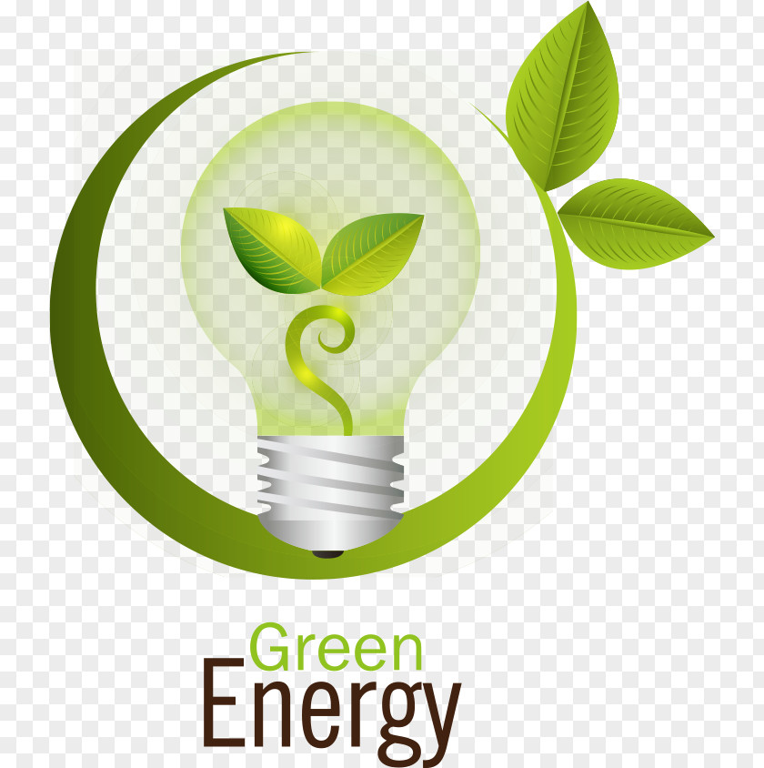 Vector Green Bulb PNG