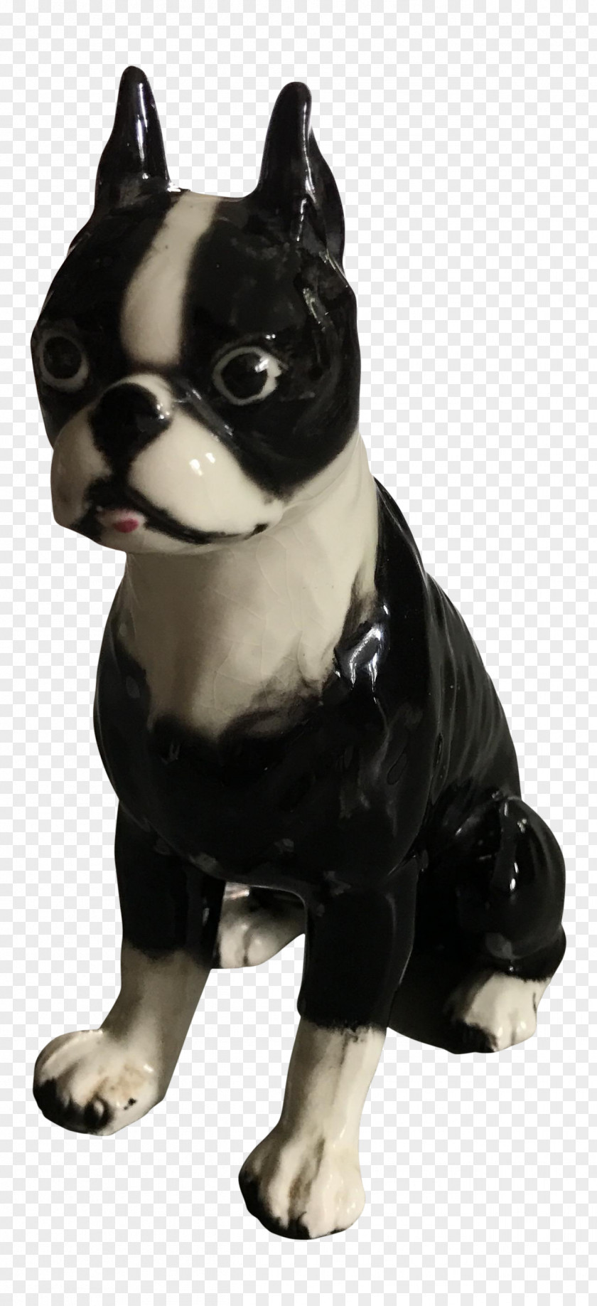 Black French Bulldog Boston Terrier Dog Breed Companion Non-sporting Group PNG