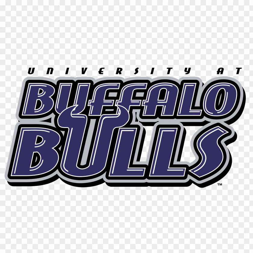 Chicago Bulls Vehicle License Plates Logo Brand Font Product PNG