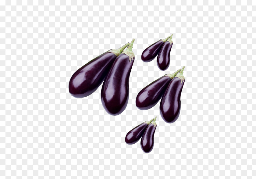 Eggplant Fruit Vegetable Solanum Aethiopicum PNG
