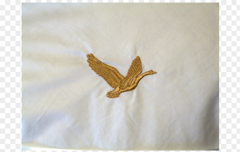 Gold Kiss Duvet Down Feather Centimeter PNG