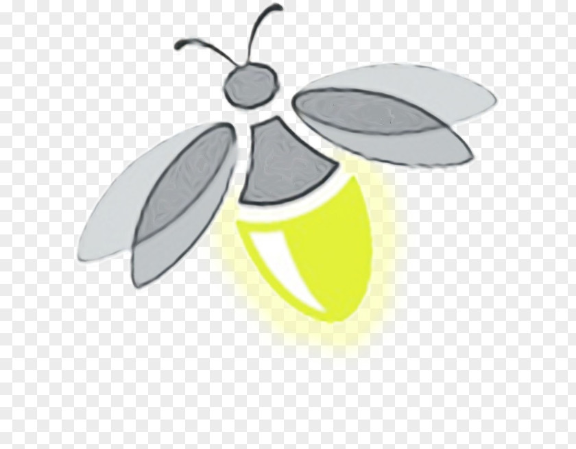 Olive Logo Leaf Watercolor PNG