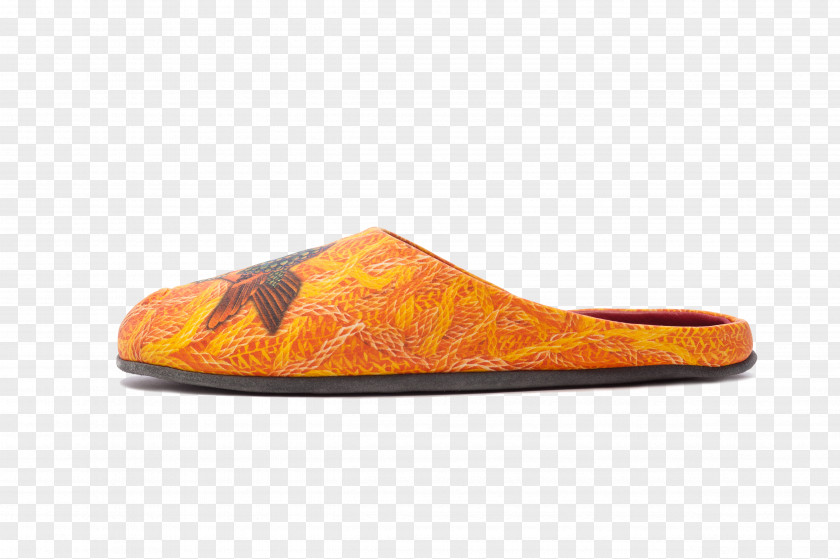 Slipper Shoe PNG