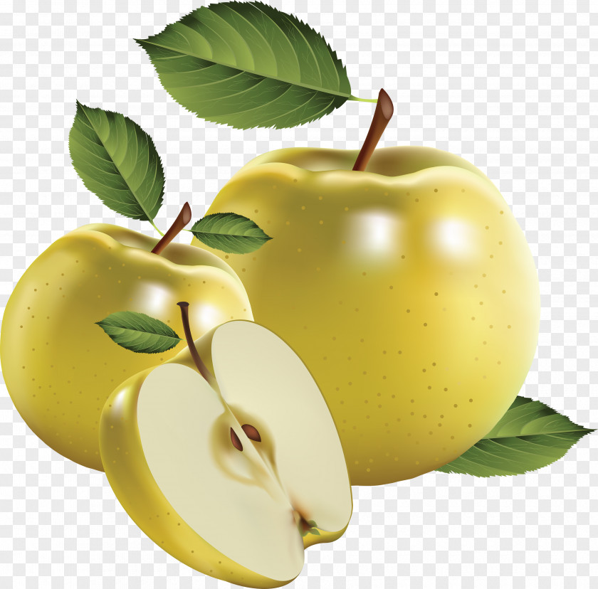 3d Creative Hand-painted Pictures Of Fruit Free Content Clip Art PNG