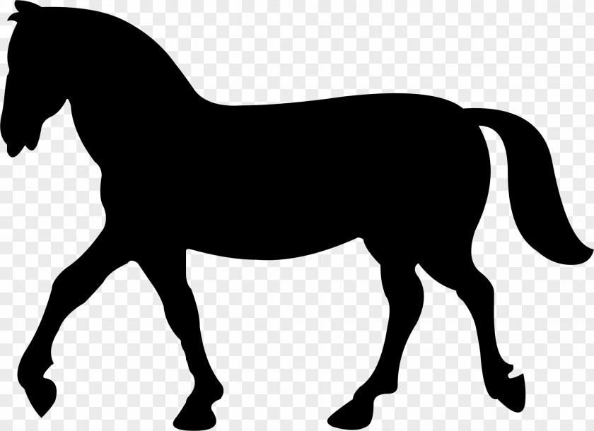 Animal Silhouettes Horse Unicorn Silhouette Legendary Creature Clip Art PNG