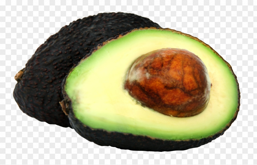 Avocado Clip Art PNG