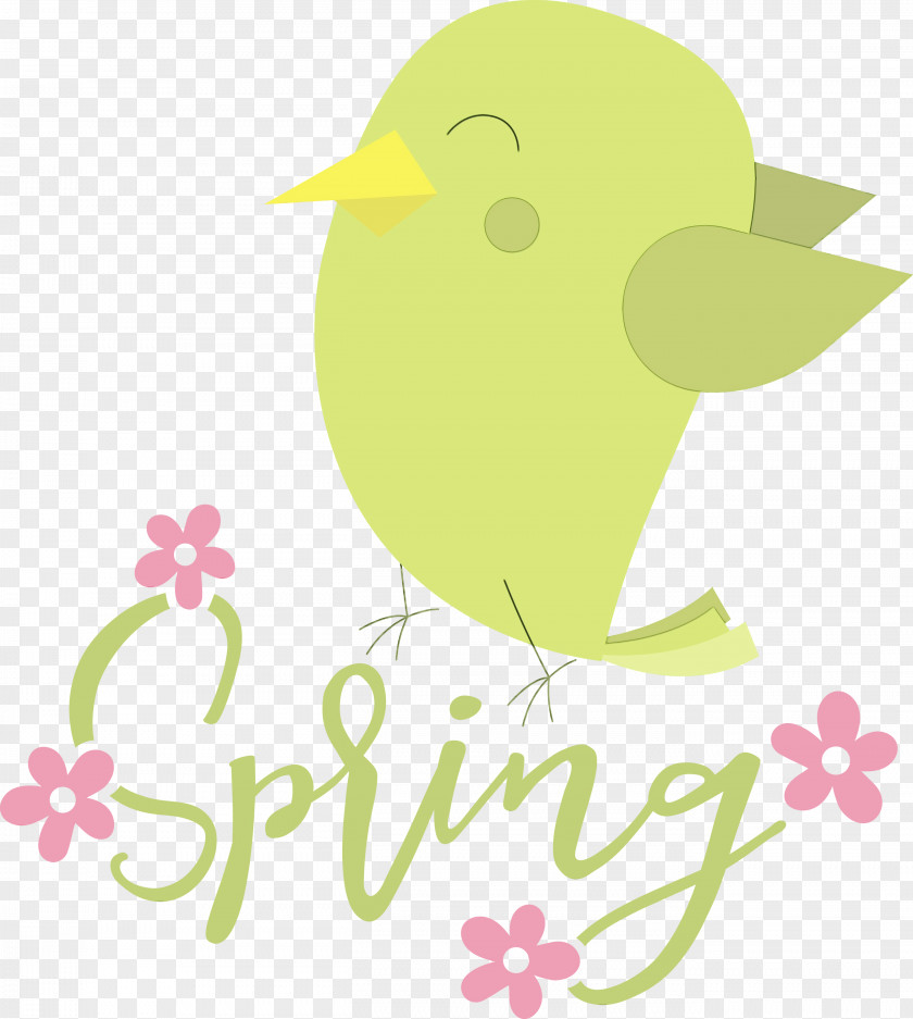 Birds Text Flower Beak PNG