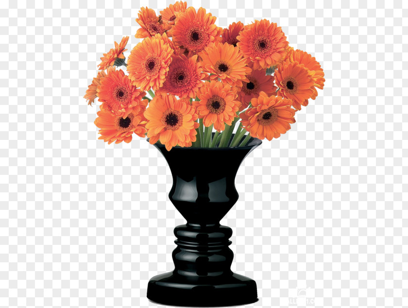 Chrysanthemum Cut Flowers Vase Oxeye Daisy PNG
