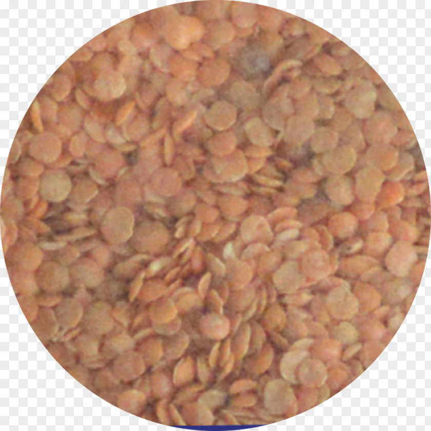 Dal Mixture Ingredient Commodity PNG