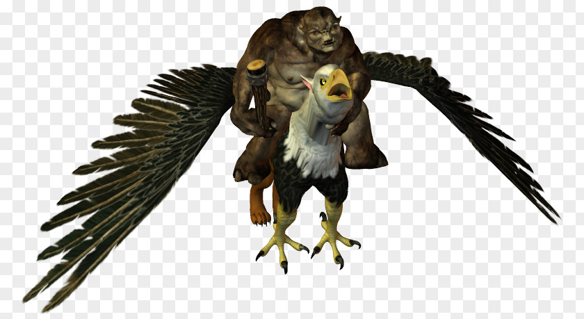 Fantasy Troll Owl Hawk Fauna Eagle Beak PNG
