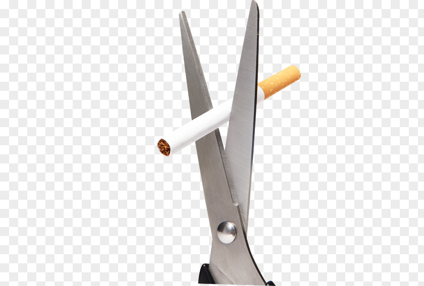 Scissors Cut A Cigarette Smoking Cessation Ban PNG