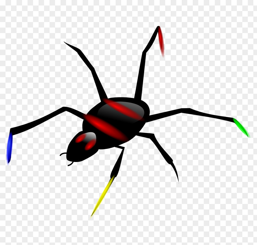 Spider Illustration Clip Art PNG