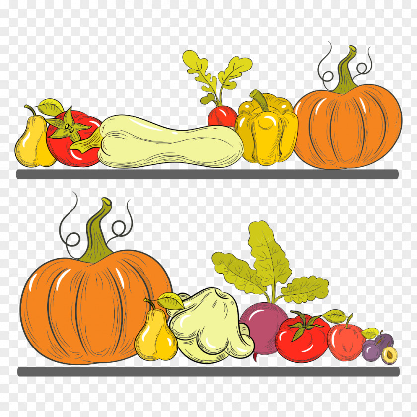 Vector Fruits And Vegetables Pumpkin Calabaza Winter Squash Clip Art PNG