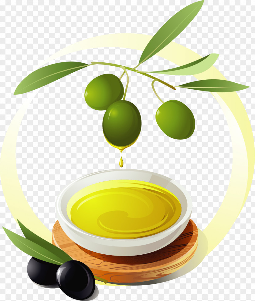 Vector Painted Olive Oil Greek Cuisine Salad PNG