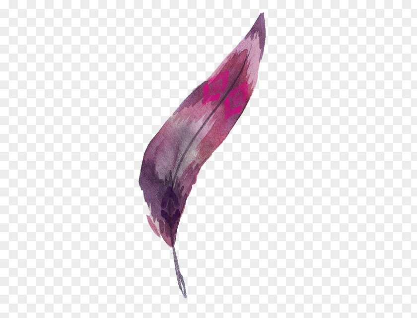 Watercolor Feather Painting Clip Art PNG