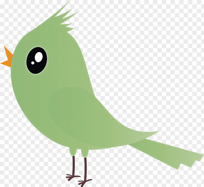 Bird Green Beak Parrot Cartoon PNG