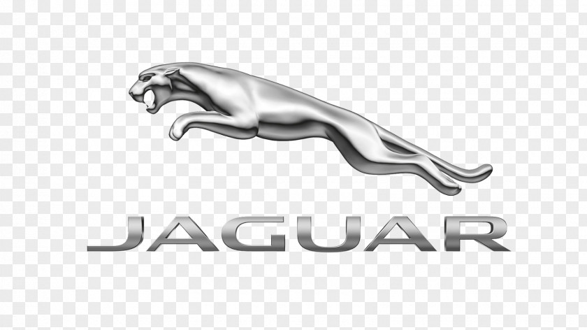Car Jaguar Cars Tata Motors Hennessey Performance Engineering Ford Motor Company PNG
