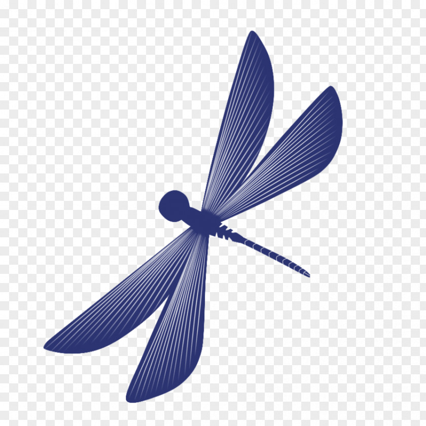 Dragonfly Insect Cartoon PNG
