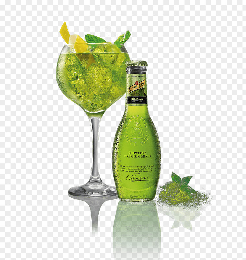 Matcha Gin And Tonic Water Cocktail Mojito PNG