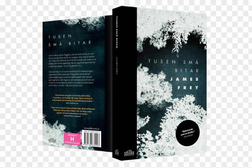 Pelin Säännöt A Million Little Pieces Sista Testamentet BookBook Cover Design Endgame: The Calling Endgame PNG