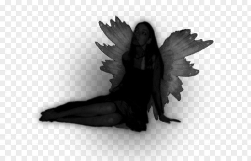 Silhouette Black And White Fairy PNG