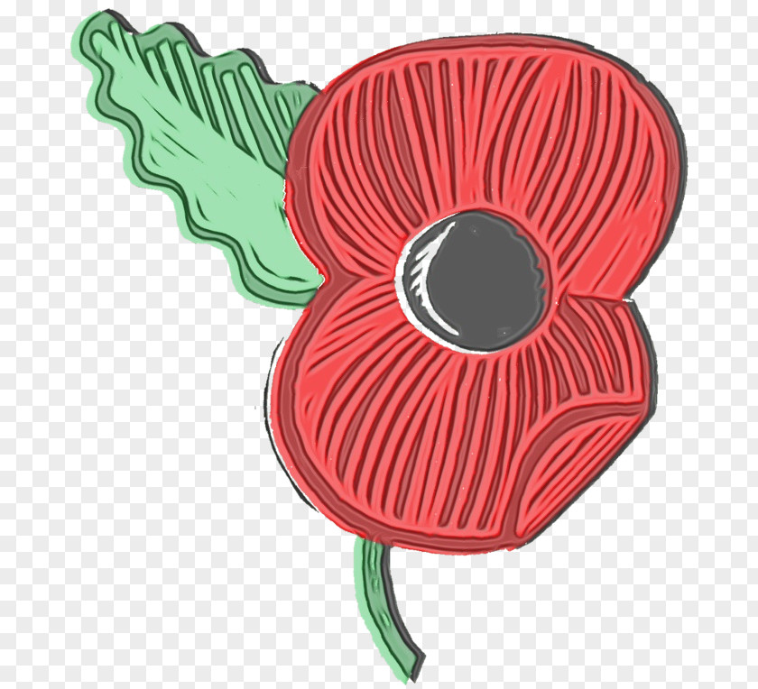 Anemone Flower Remembrance Day Poppy PNG