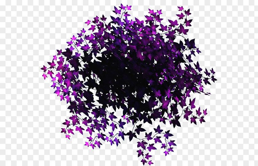 Purple Leaves Petal Violet Leaf PNG