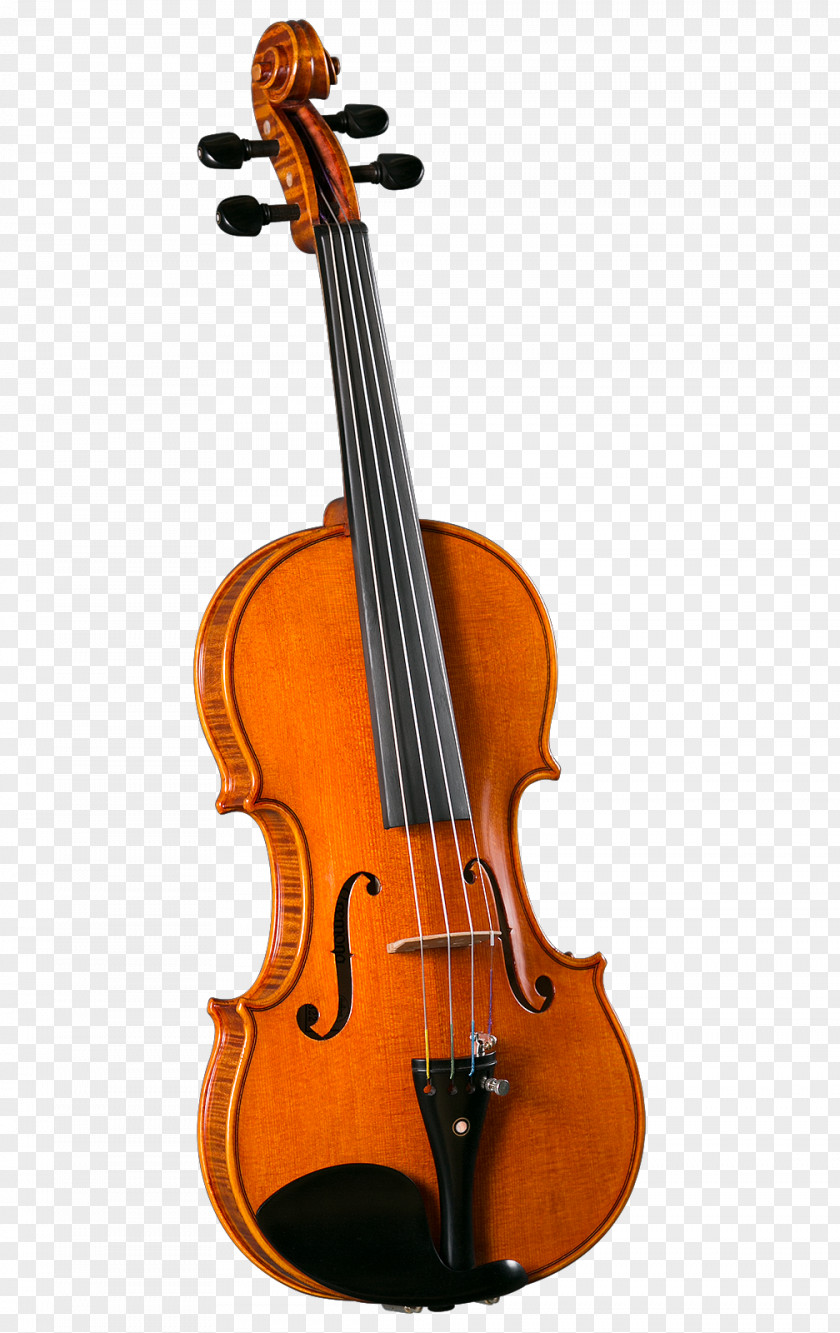 Violin Cremona Musical Instruments String PNG