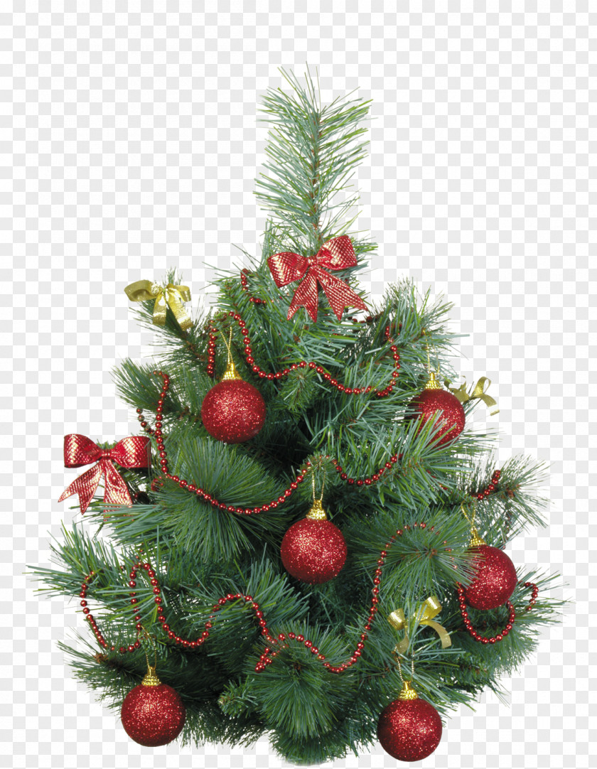 Christmas Tree New Year Yolki Clip Art PNG