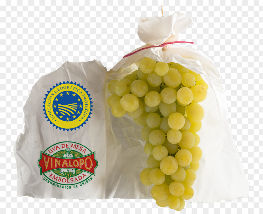 Denominación De Origen Grape Food Geographical Indication Geography PNG