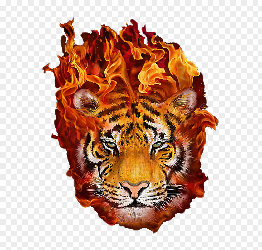 Fire Tiger Baby Tigers Art Painting Flame PNG