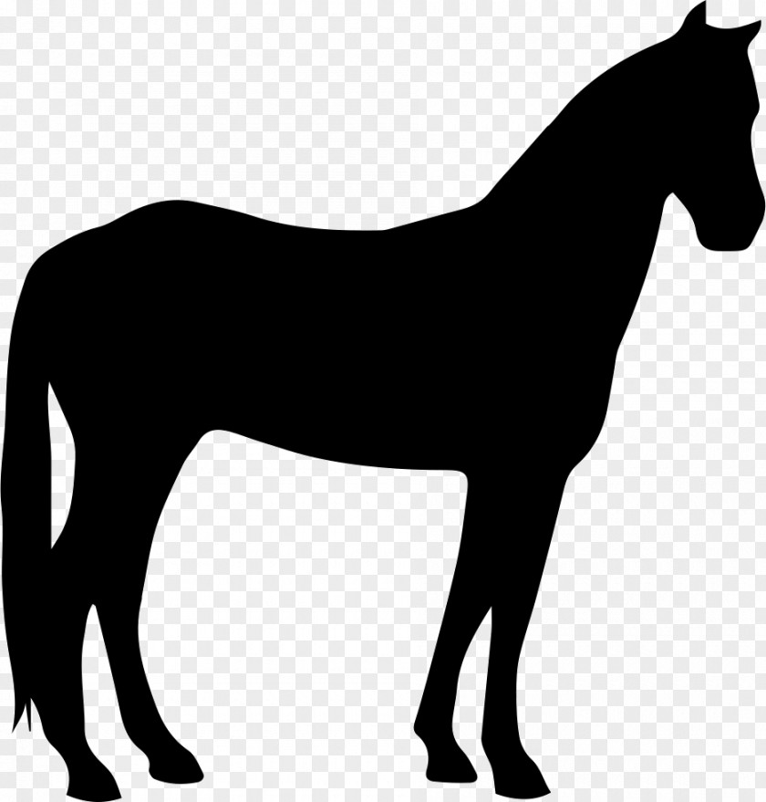 Horse Pony Silhouette Flaxen Gene PNG