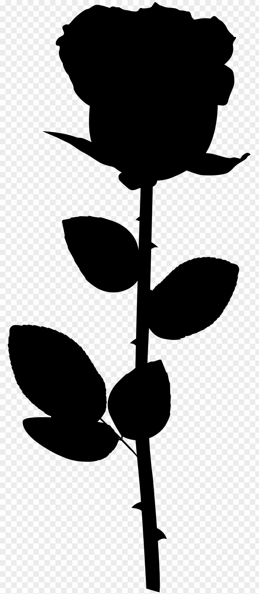 Leaf Clip Art Silhouette Plant Stem Line PNG