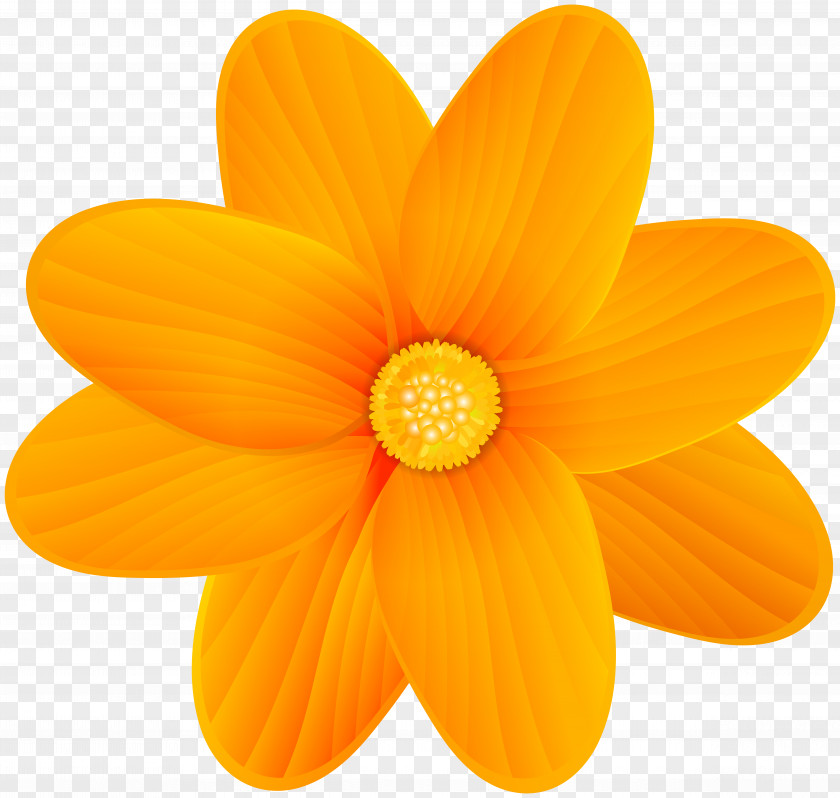 Orange Flower Clip Art Image Blossom PNG