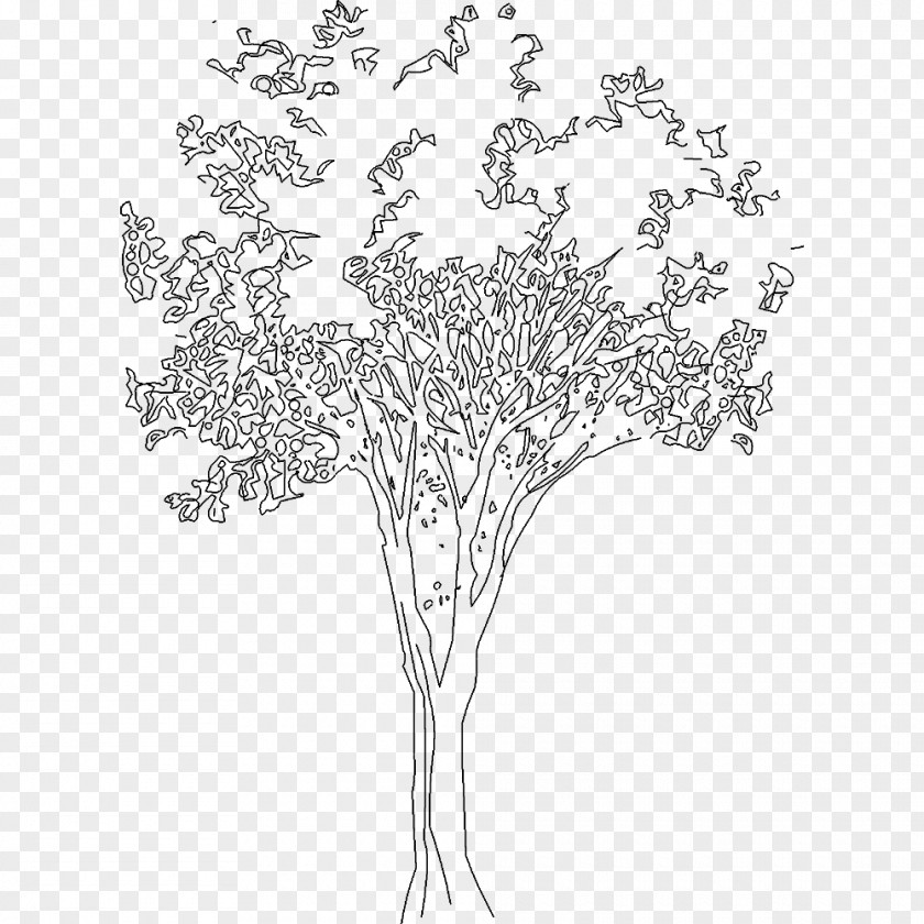 Tree .dwg AutoCAD Architecture Drawing PNG