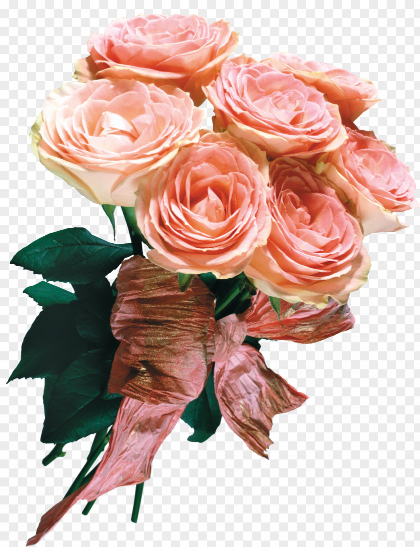 Abstract Flowers Creative Flower Celebration,Bouquet Of Roses Garden Centifolia Baku Festival Bouquet PNG