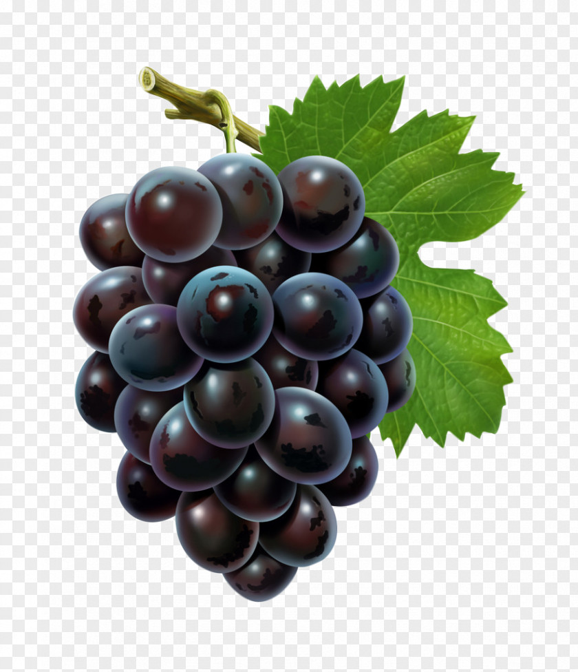 Creative Grape Fruit Seed Extract Flavor PNG