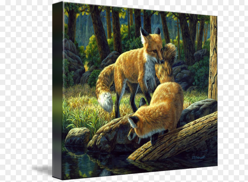 Painting Red Fox The Foxes Oil Watercolor PNG