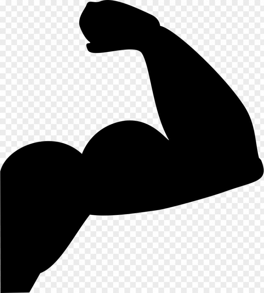 Arm Vector Muscle Clip Art PNG